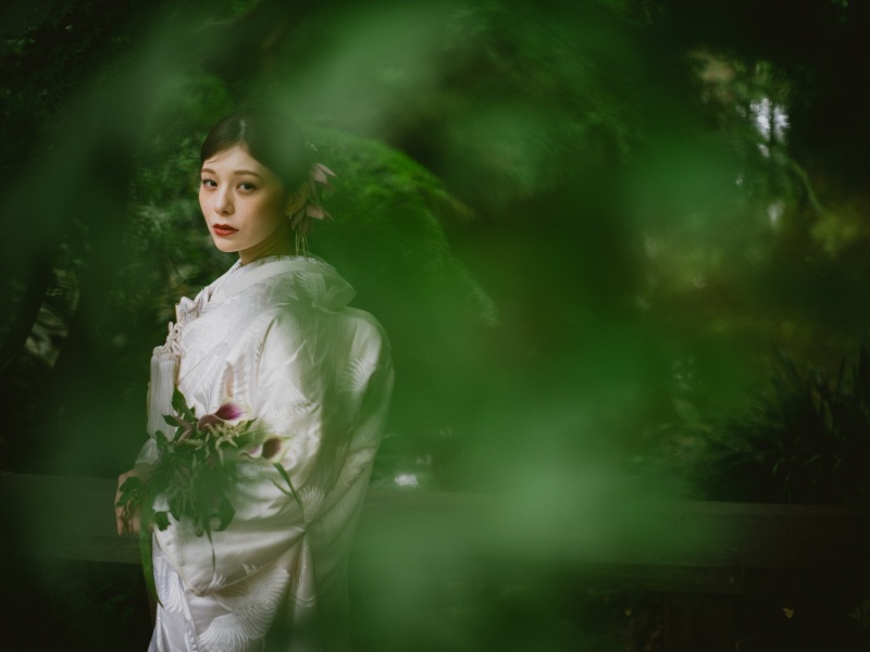 メタセコイヤの林に囲まれて『生田緑地』プラン