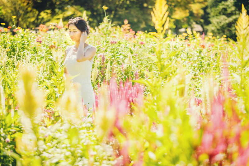 【通年】四季折々の花と木々と!『昭和記念公園』プラン