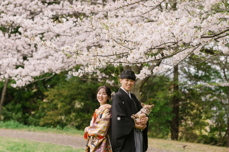 《受付開始！》桜シーズン和装ロケーション撮影【3月下旬〜4月上旬撮影】