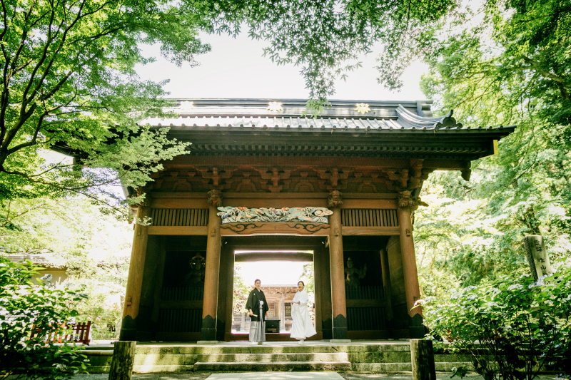 【通年】杉木立に囲まれた静寂の異空間『鎌倉妙本寺』プラン