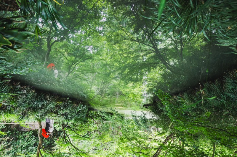メタセコイヤの林に囲まれて『生田緑地』プラン