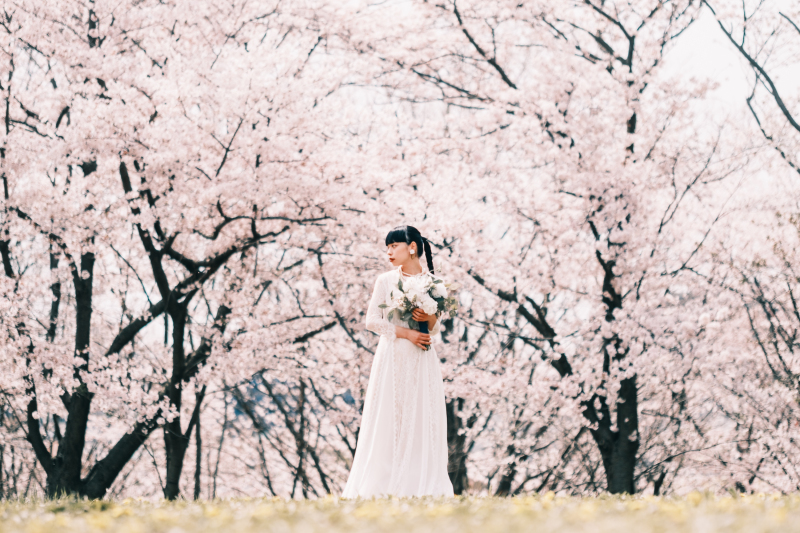 《受付開始！》桜シーズン洋装ロケーション撮影【3月下旬〜4月上旬撮影】