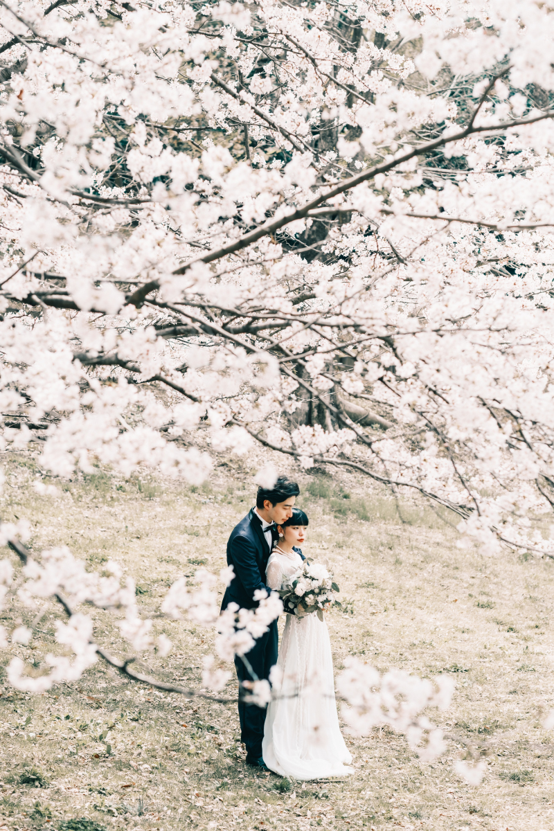 《受付開始！》桜シーズン洋装ロケーション撮影【3月下旬〜4月上旬撮影】