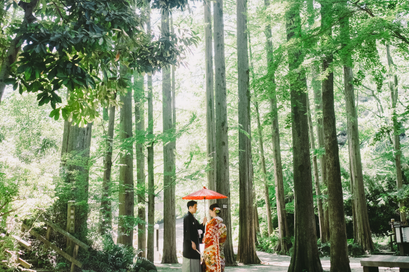 【通年】メタセコイヤの林に囲まれて『生田緑地』プラン