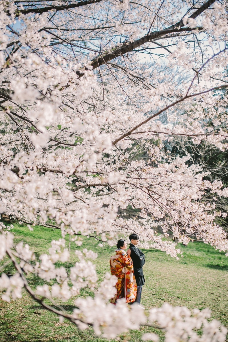 《受付開始！》桜シーズン和装ロケーション撮影【3月下旬〜4月上旬撮影】