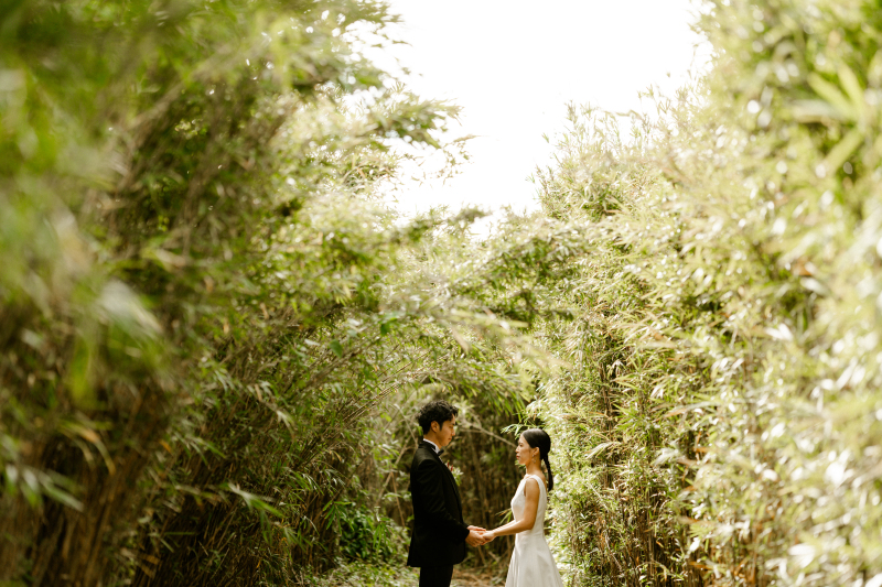 城ヶ島前撮り｜海ロケーション洋装1着【春限定5組】