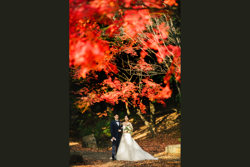 紅葉の中で前撮り撮影 衣装選び放題&全データつき!