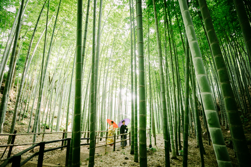 【10月11月12月限定】『1日完結!和装ロケーション最安値キャンペーン!!』衣装選び放題&データつき!