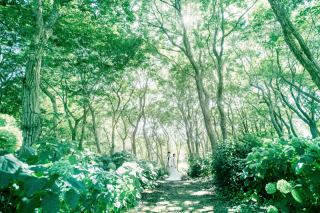 【10月11月12月限定 10組さま】最安値！65,780円！！洋装ロケ撮影 衣装選び放題＆全データ