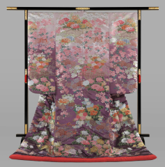 淡紅藤ぼかし 四季花集雅の宴