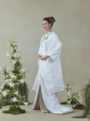 唐織　七宝桐文