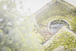 日差しに包まれた特別な空間