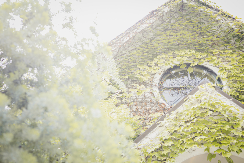 日差しに包まれた特別な空間