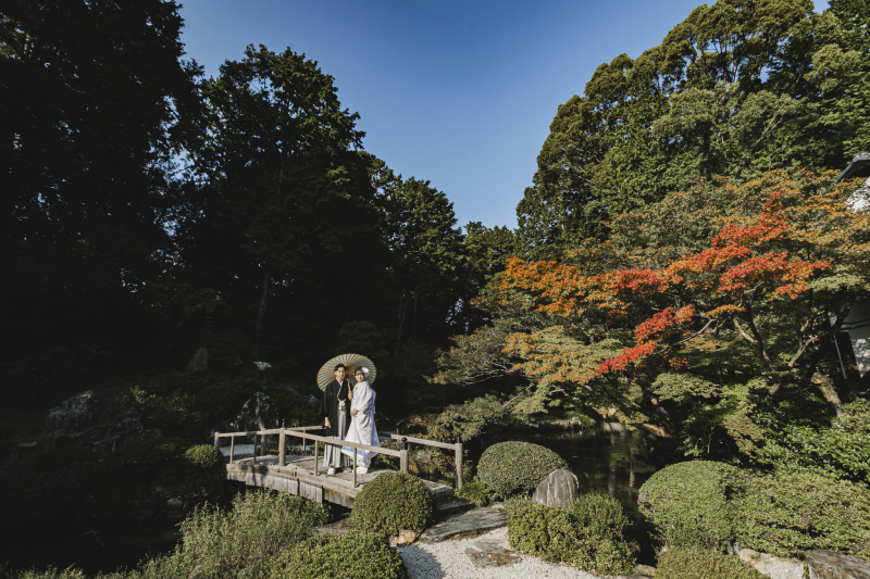 美しい日本庭園