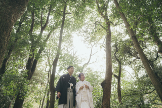 下鴨神社で豊かな自然とともに