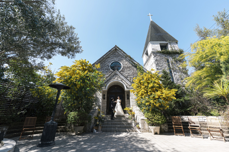 ミモザのお花に囲まれて