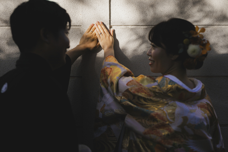 自然のスポットライト