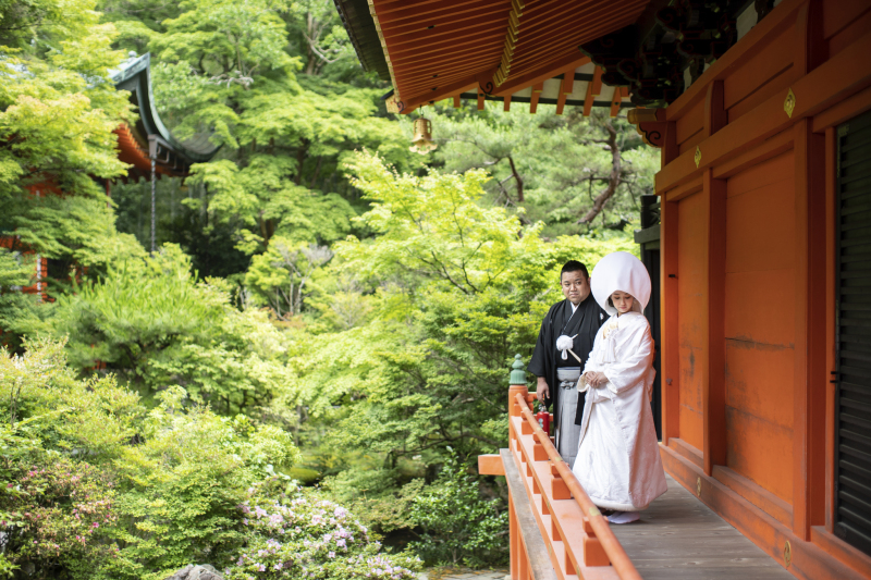 緑と赤のコントラストが美しいロケーション