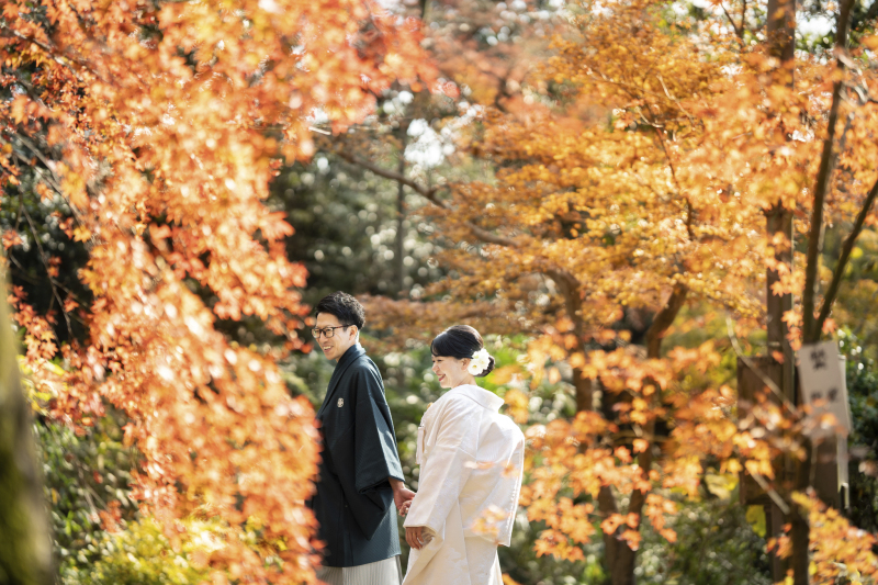 紅葉×和装で特別な一枚を…!