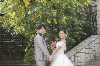 満開のミモザと教会