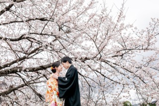 春ならでは！桜とともに晴れ姿を