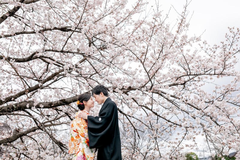 春ならでは！桜とともに晴れ姿を