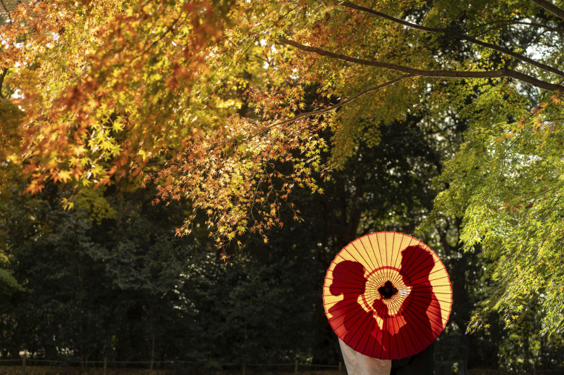 この季節しかできないアートな一枚