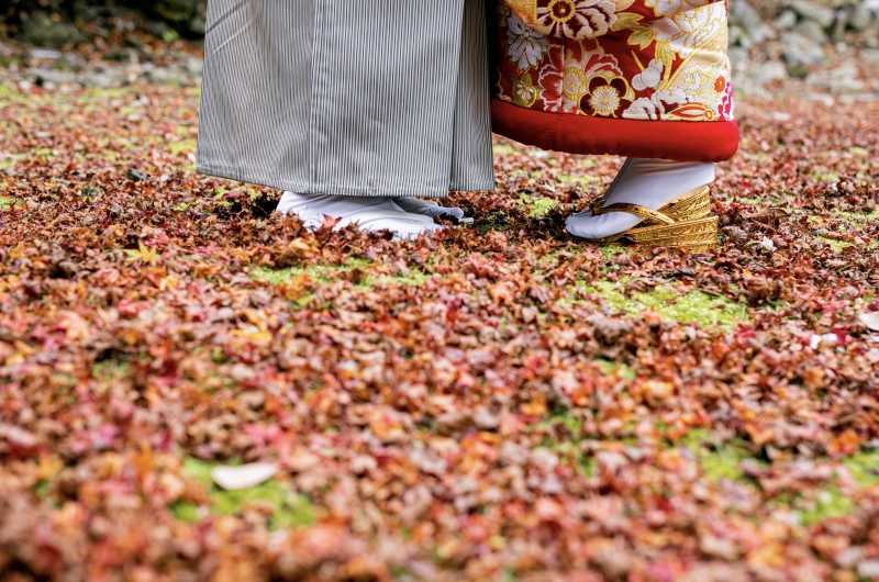 この時期だけの紅葉の絨毯