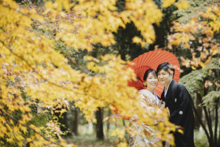 赤く染まる下鴨神社の紅葉
