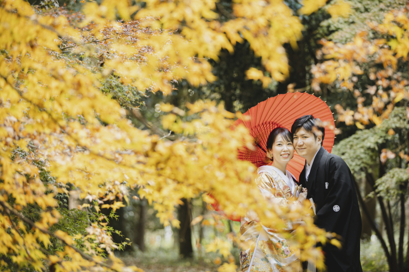 赤く染まる下鴨神社の紅葉