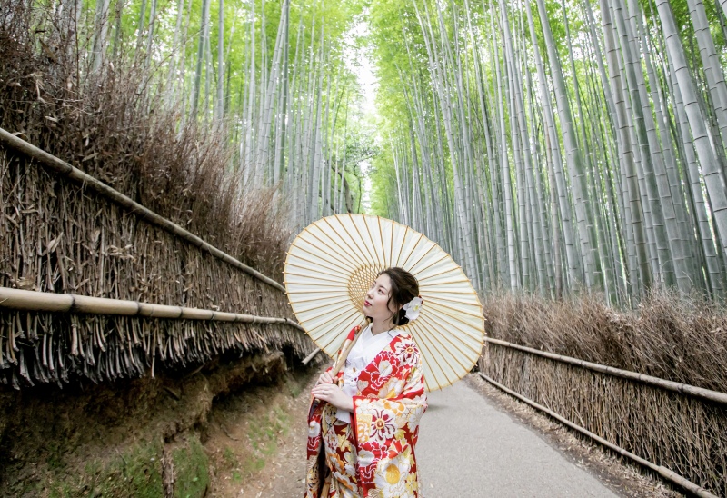 緑が美しい幻想的なショット