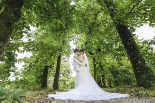 緑と青空　ナチュラルフォトウエディング