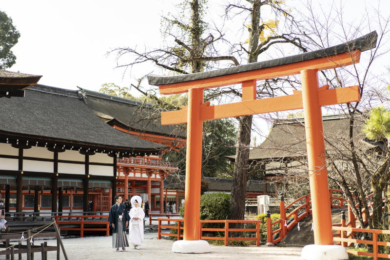 風情溢れる一枚