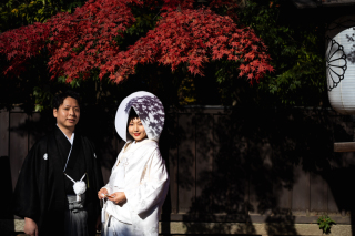 美しい紅葉色づくロケーション撮影