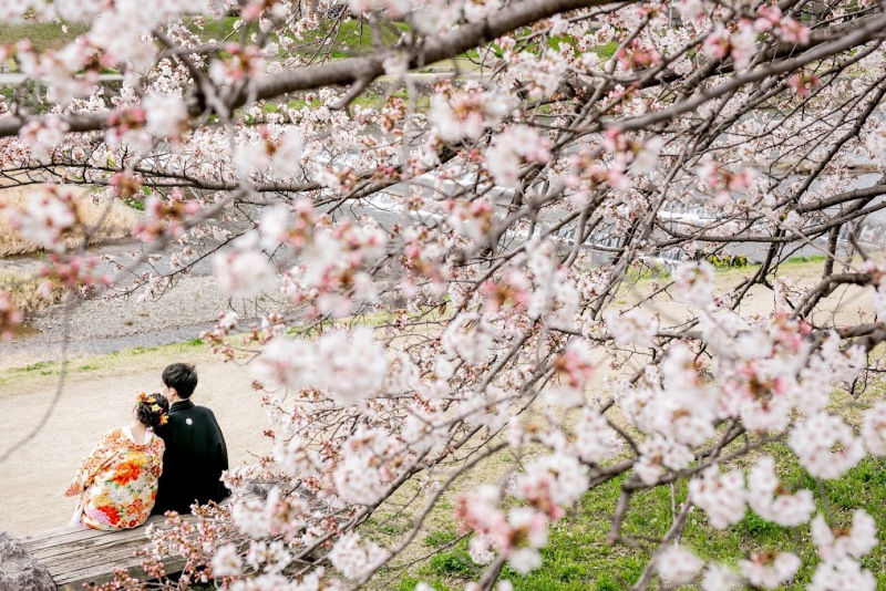 桜を活かした画角のご提案