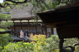 PHOTO WHITE KYOTO_◆仁和寺ロケーションフォト◆