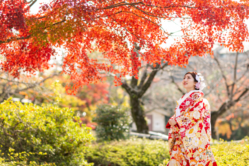 季節感のあるお写真が魅力