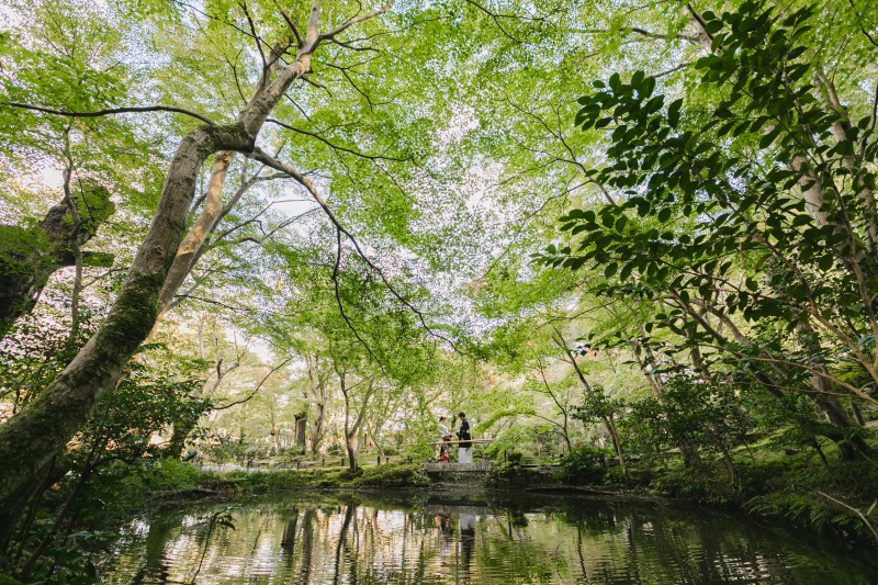 【紅葉・新緑の美しい景色広がる寺院】和装×圓光寺 195,000円~