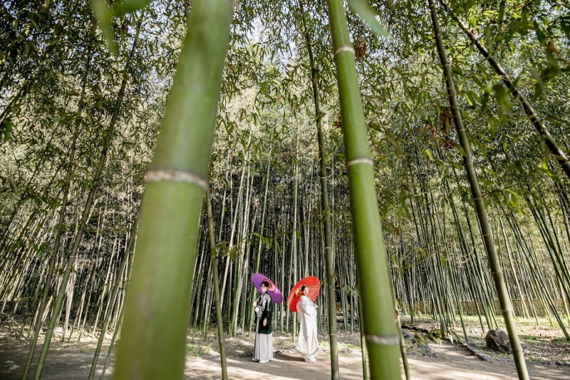 【限定！和装超過は50％OFF！】〈大覚寺〉和装プラン　＊格式高い歴史あるお寺＊