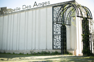 イノセント12(12cutアルバム)