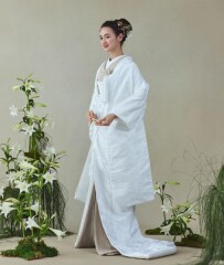 唐織　七宝桐文