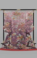 淡紅藤ぼかし　四季花集雅の宴