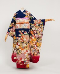 紺/赤疋田菊花に彩花