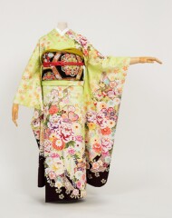 黄緑大輪牡丹に藤