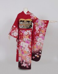 赤牡丹桜にコスモス