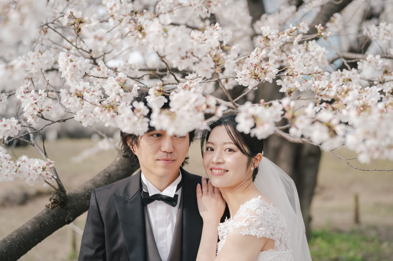 【まだ間に合う！】2026満開桜フォト