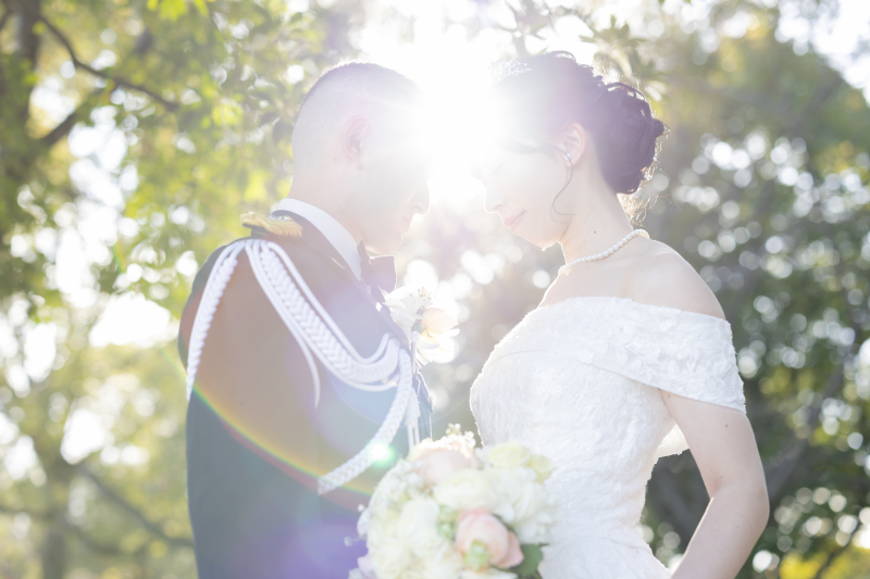 やさしく差し込む木漏れ日と