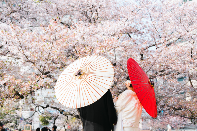 満開の桜とともに