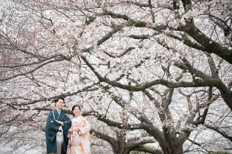 桜での撮影