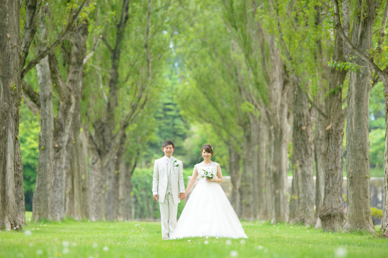 ポプラ並木で一枚